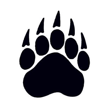 Paw Temporary Tattoos  Andersons