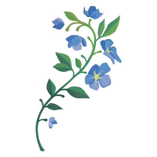 blue flowers and vines clip art