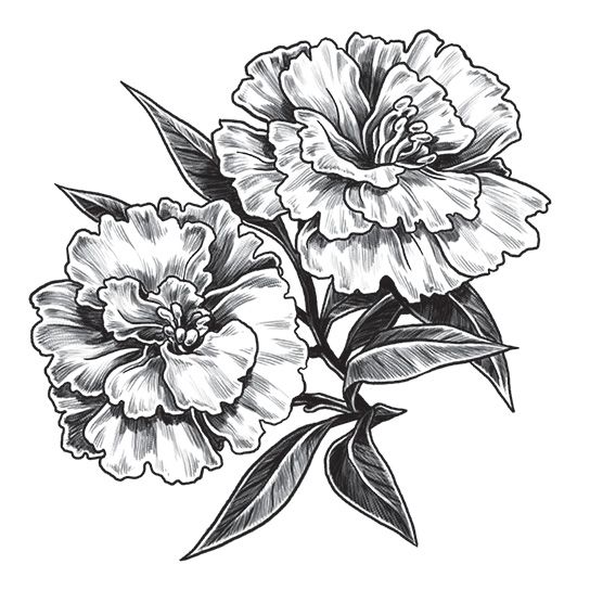18 top Carnations Tattoo ideas in 2024